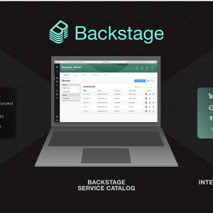 Internal Developer Portal Setup (Backstage, etc.)